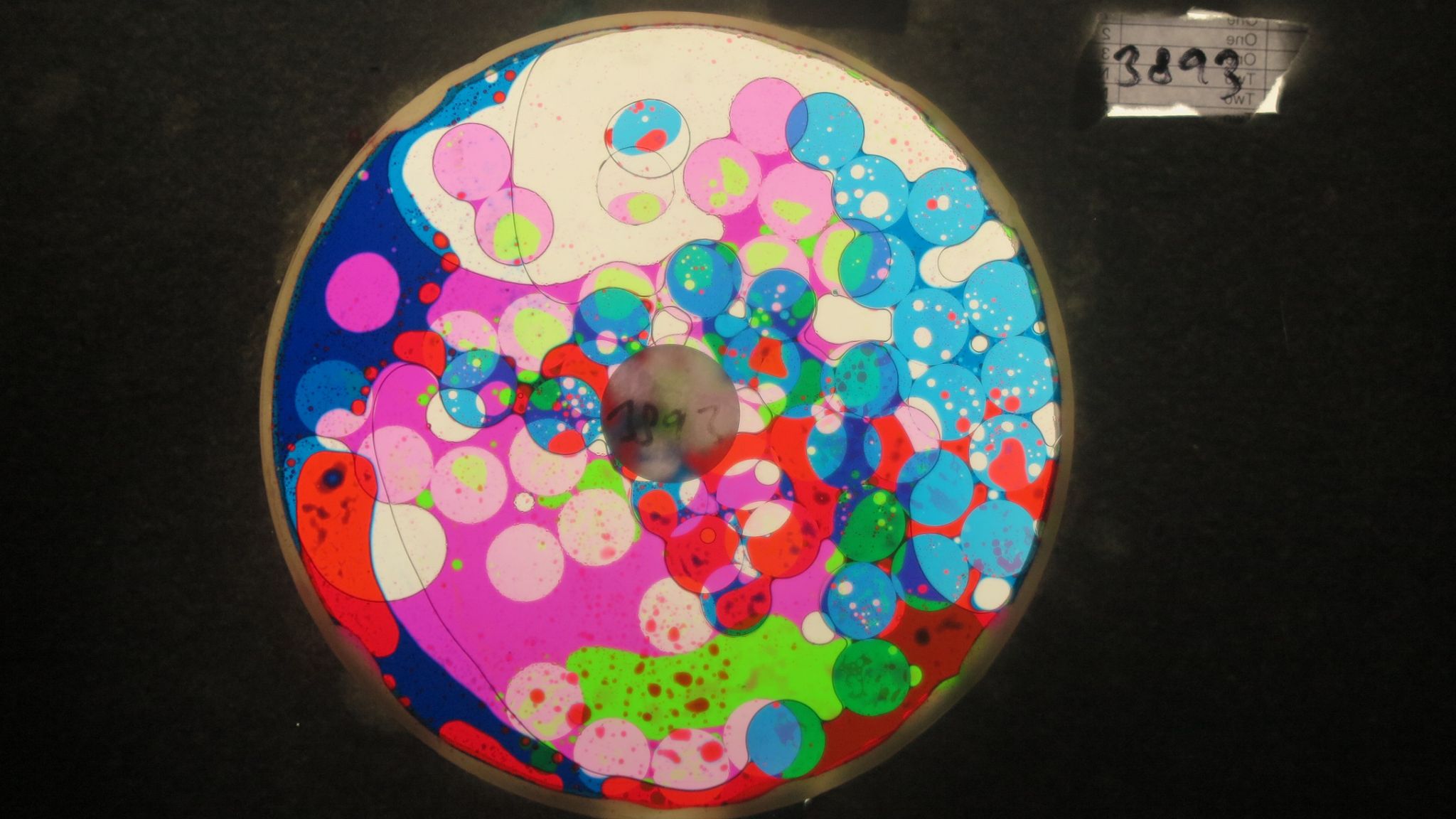 BV3893 bubble vision oil wheel1